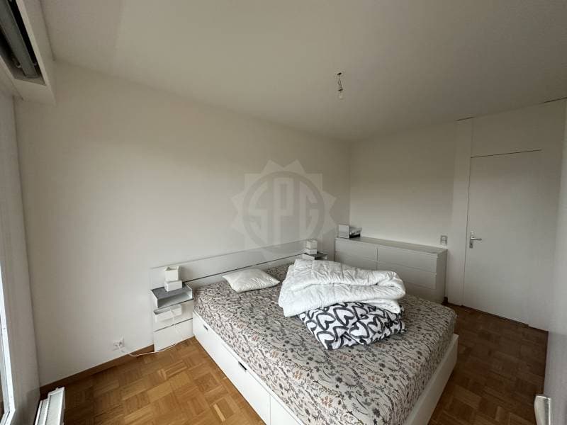 Appartement lumineux - Genève (2)