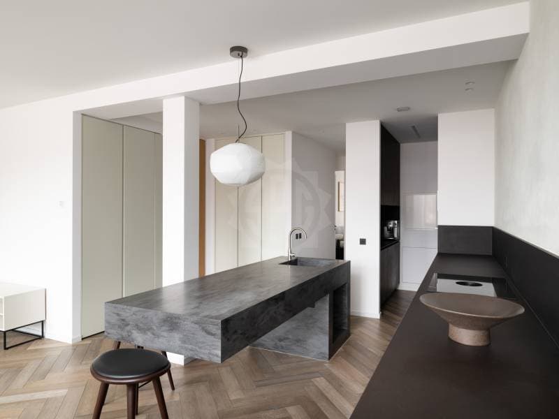 Magnifique appartement - Genève (7)