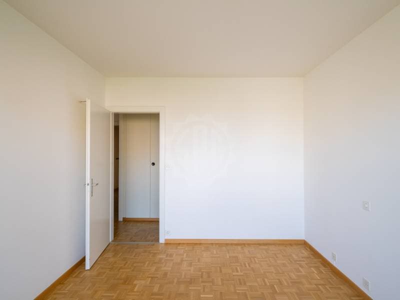 Appartement spacieux - Thônex (9)