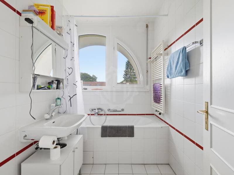 Chaleureux appartement - Le Grand-Saconnex (12)