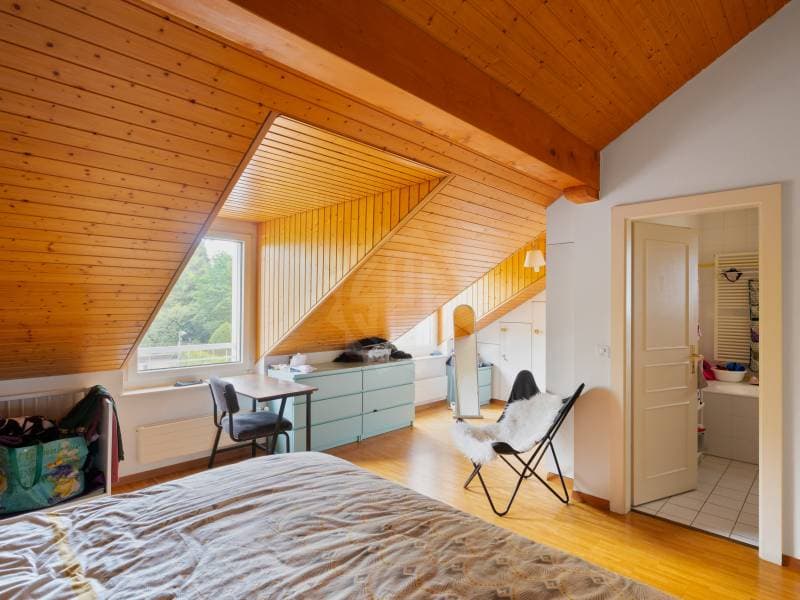Chaleureux appartement - Le Grand-Saconnex (8)