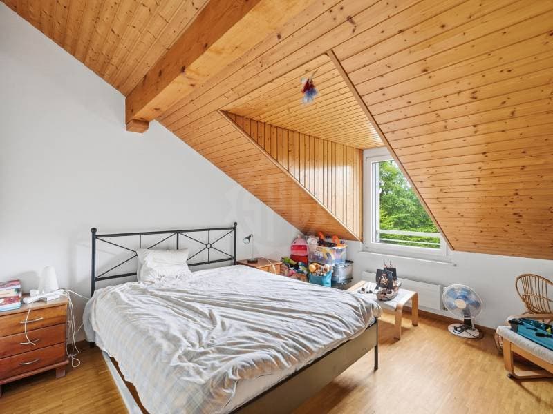 Chaleureux appartement - Le Grand-Saconnex (11)
