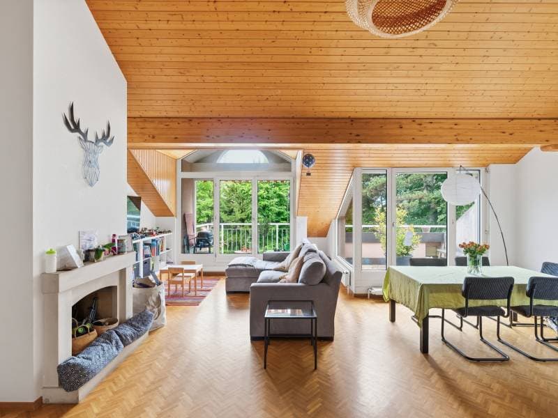 Chaleureux appartement - Le Grand-Saconnex (5)