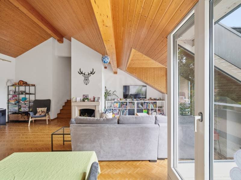 Chaleureux appartement - Le Grand-Saconnex (4)
