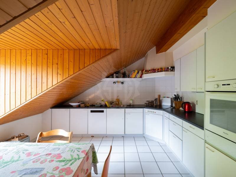 Chaleureux appartement - Le Grand-Saconnex (2)
