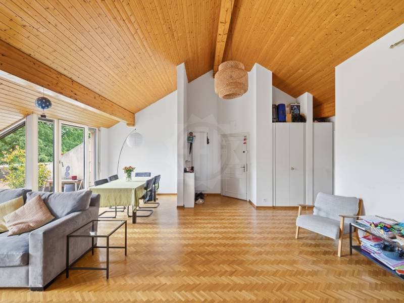 Chaleureux appartement - Le Grand-Saconnex (3)