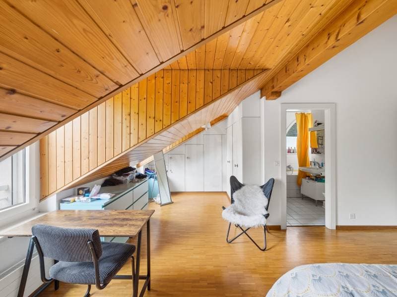 Chaleureux appartement - Le Grand-Saconnex (9)