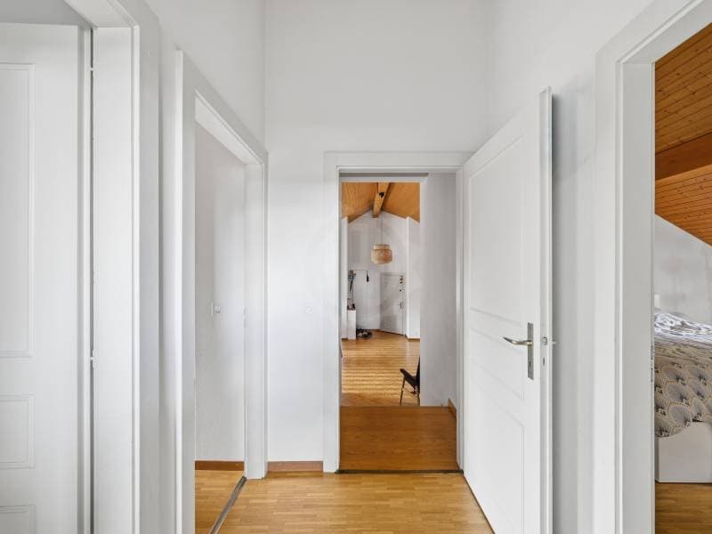 Chaleureux appartement - Le Grand-Saconnex (7)