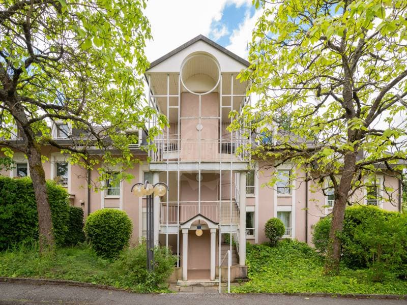 Chaleureux appartement - Le Grand-Saconnex (1)