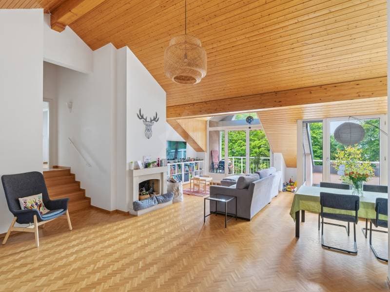Chaleureux appartement - Le Grand-Saconnex (6)