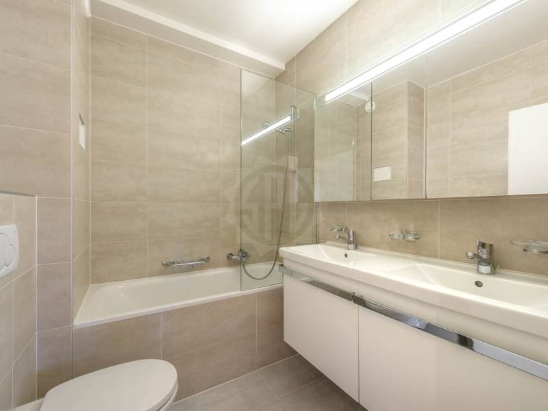 Magnifique appartement - Versoix (8)