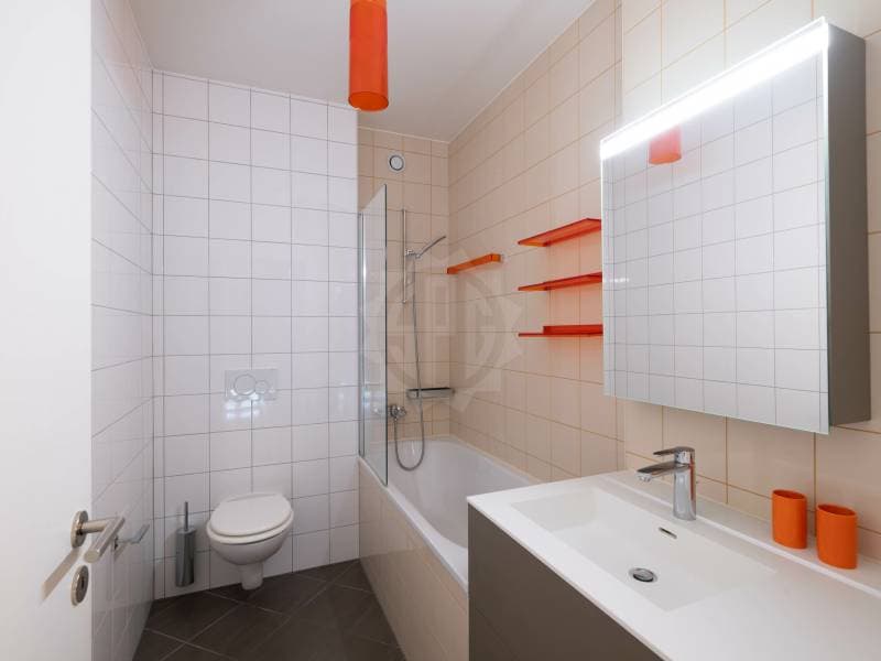 Appartement spacieux - Cologny (12)