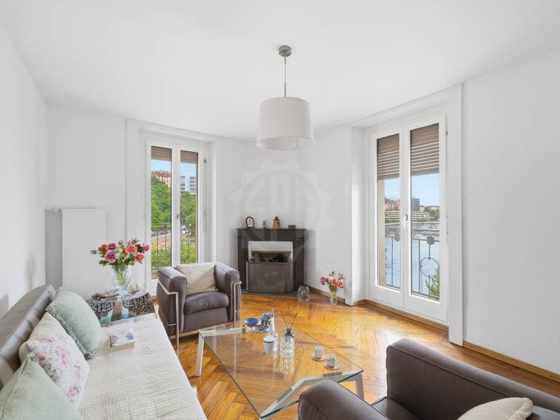 Appartement lumineux - Genève (4)