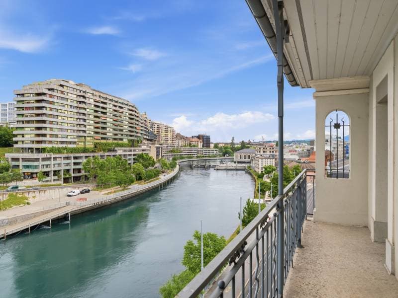 Appartement lumineux - Genève (9)