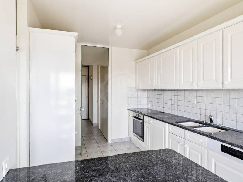 Charmant appartement - Genève (4)