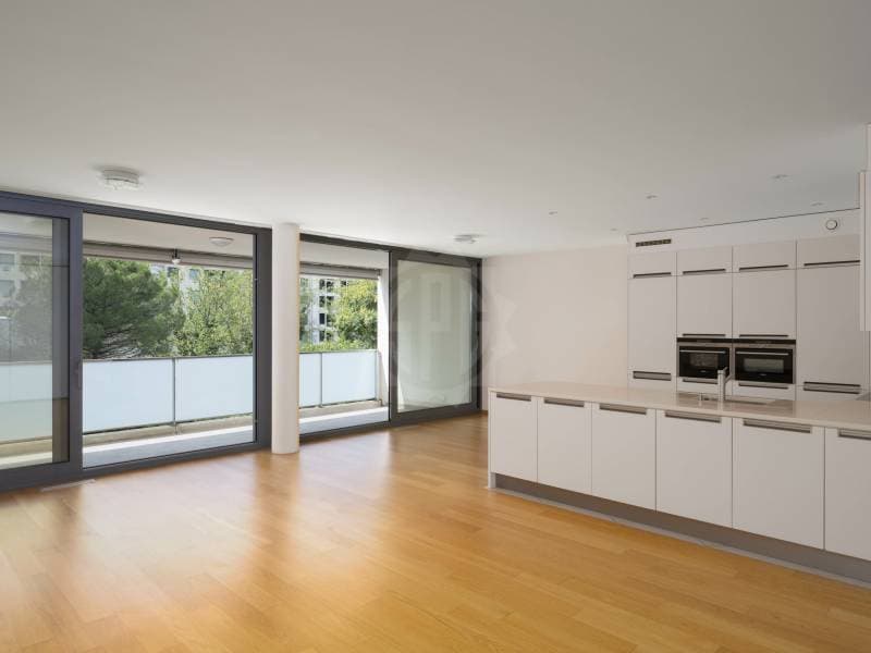 Magnifique appartement - Carouge GE (1)