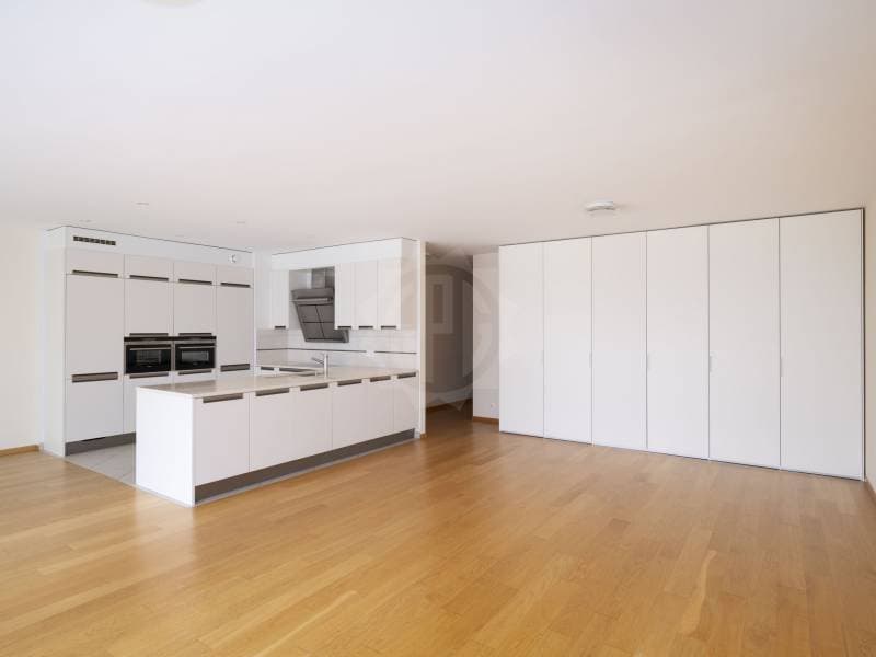 Magnifique appartement - Carouge GE (3)