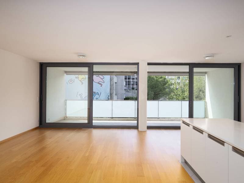 Magnifique appartement - Carouge GE (2)
