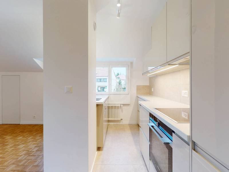 Magnifique appartement - Bernex (3)