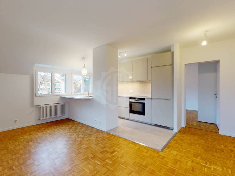 Magnifique appartement - Bernex (6)