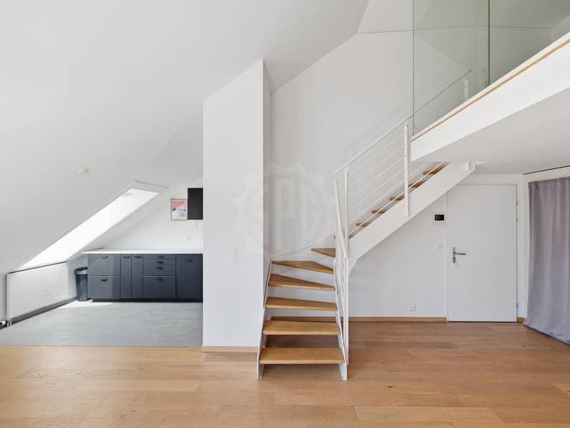 Appartement coquet  - Genève (4)