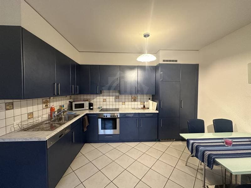 Appartement agréable - Plan-les-Ouates (3)