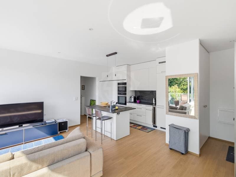 Appartement agréable - Le Grand-Saconnex (3)