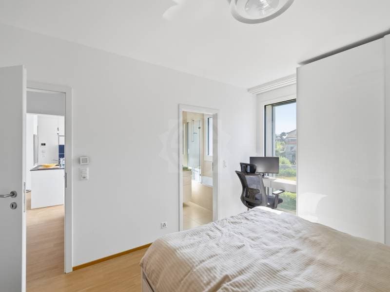 Appartement agréable - Le Grand-Saconnex (7)