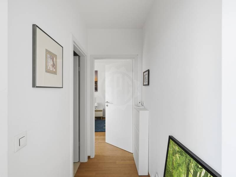 Appartement agréable - Le Grand-Saconnex (5)