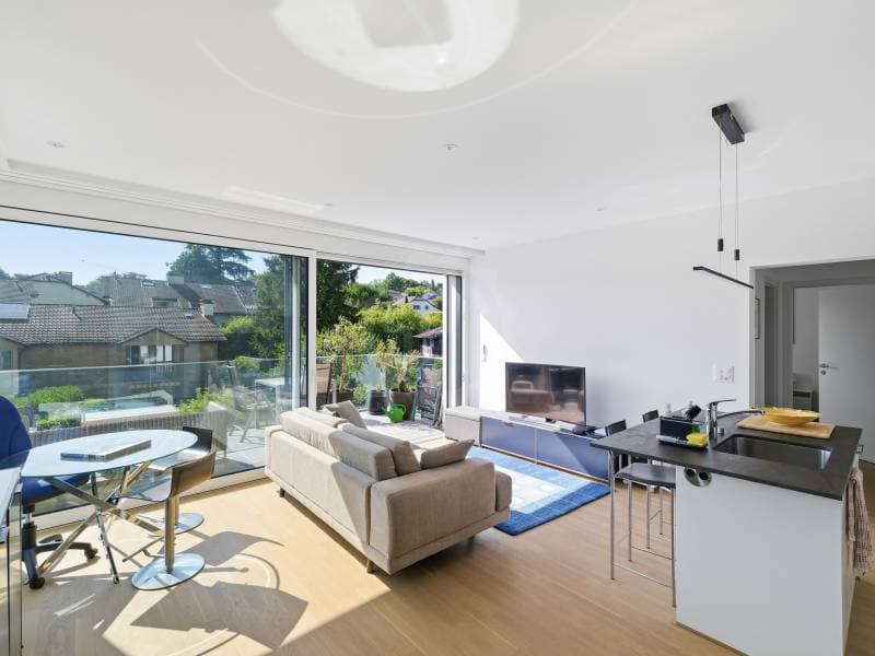 Appartement agréable - Le Grand-Saconnex (4)