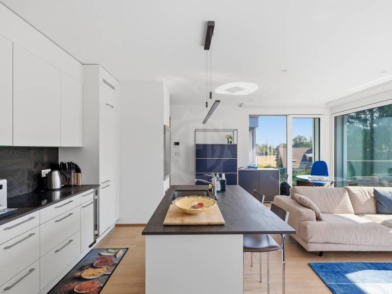 Appartement agréable - Le Grand-Saconnex (1)