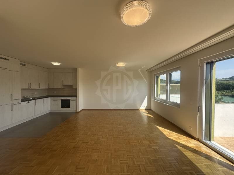 Charmant appartement - La Plaine (5)