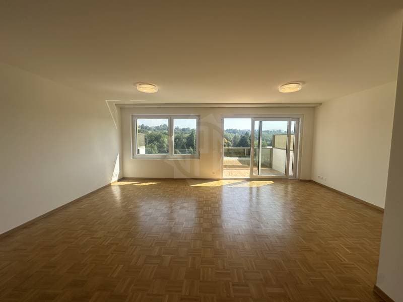 Charmant appartement - La Plaine (7)