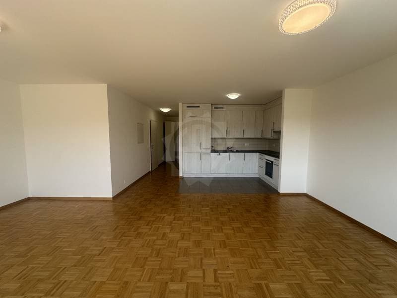 Charmant appartement - La Plaine (4)
