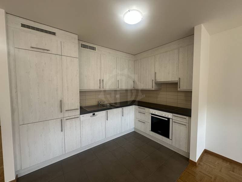 Charmant appartement - La Plaine (3)