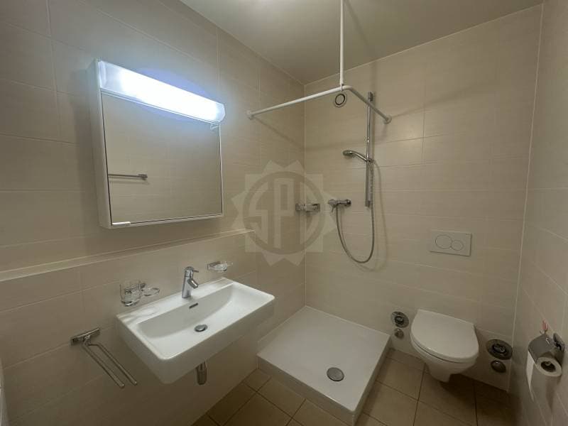 Charmant appartement - La Plaine (11)
