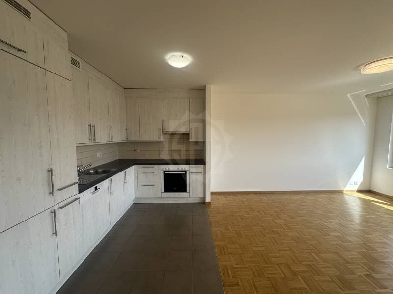 Charmant appartement - La Plaine (6)