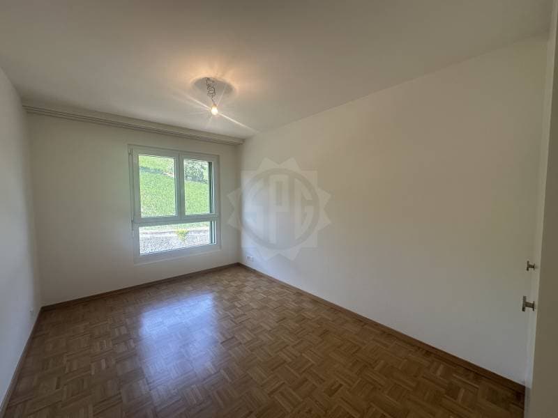 Charmant appartement - La Plaine (9)