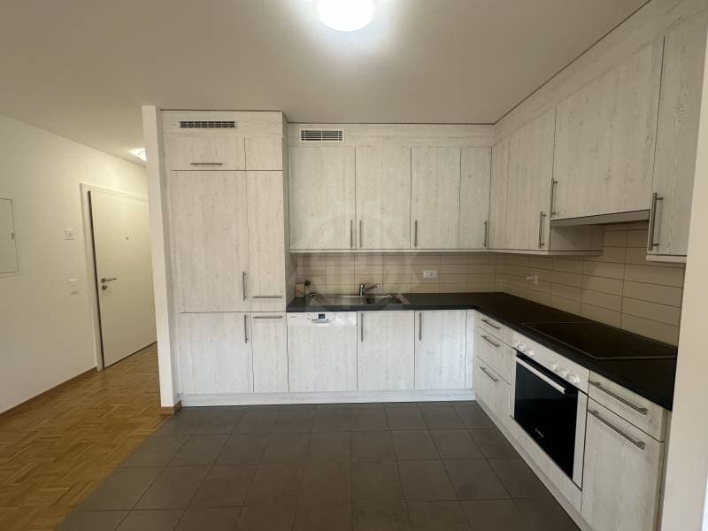 Charmant appartement - La Plaine (2)
