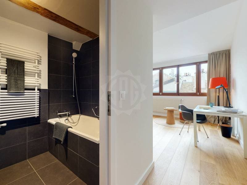 Magnifique appartement - Genève (4)