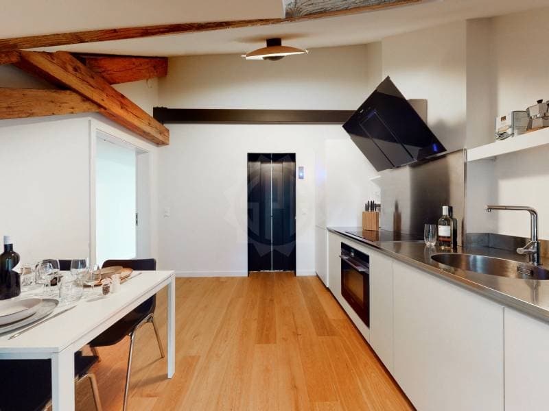 Magnifique appartement - Genève (8)