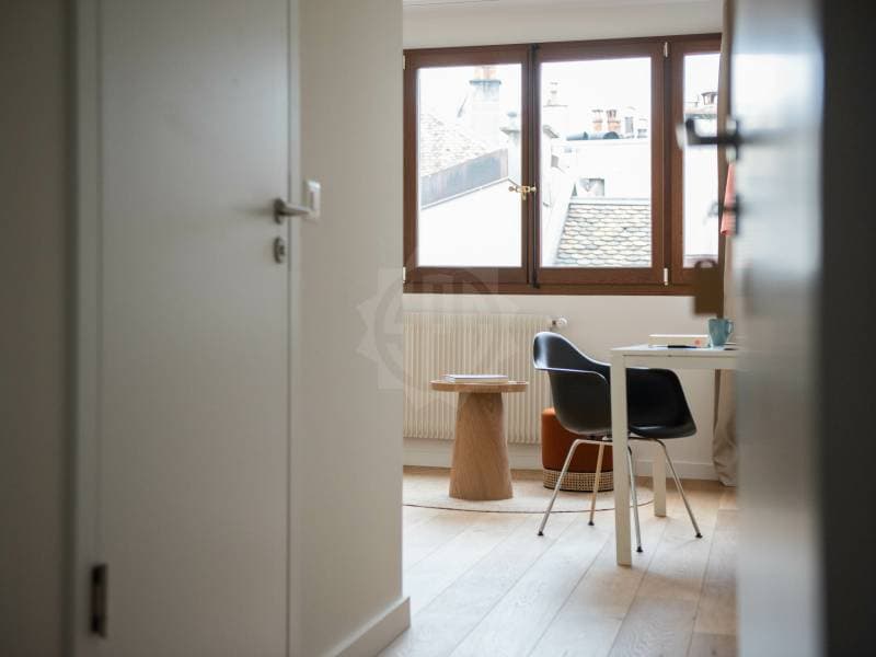 Magnifique appartement - Genève (3)