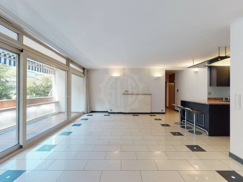 Magnifique appartement - Genève (4)