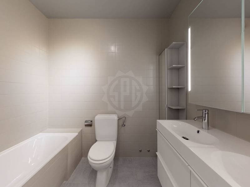 Grand appartement - Genève (3)
