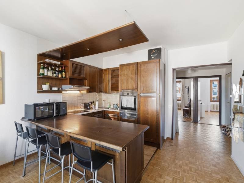 Appartement agréable - Chêne-Bourg (4)