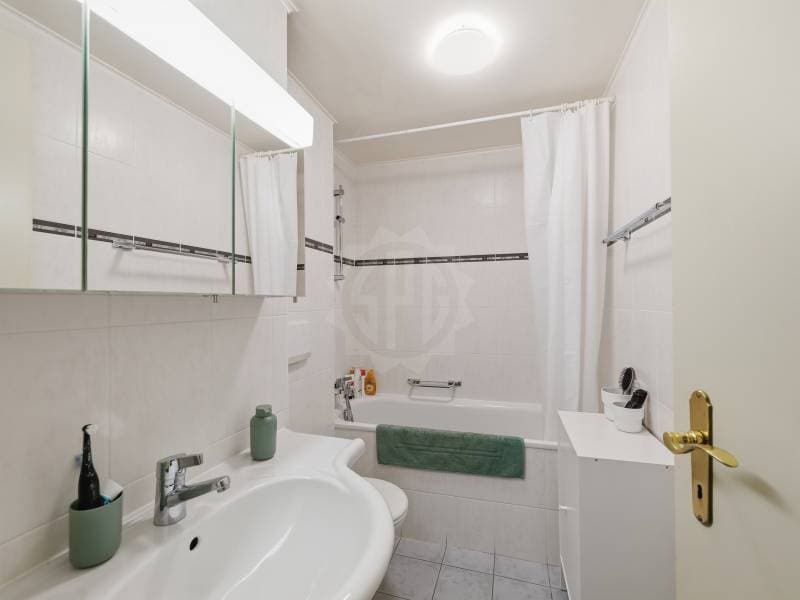 Appartement agréable - Chêne-Bourg (11)