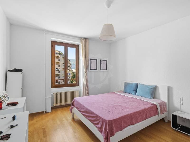 Appartement agréable - Chêne-Bourg (8)