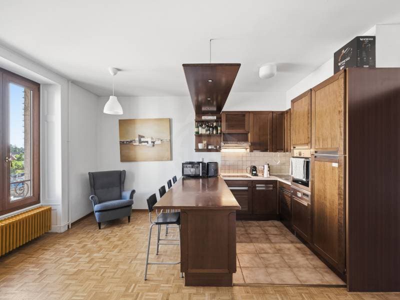Appartement agréable - Chêne-Bourg (3)