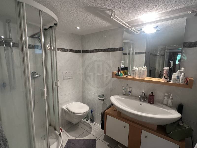 Appartement agréable - Confignon (6)