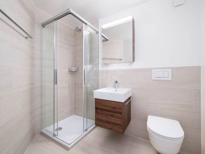 Magnifique appartement - Genève (7)